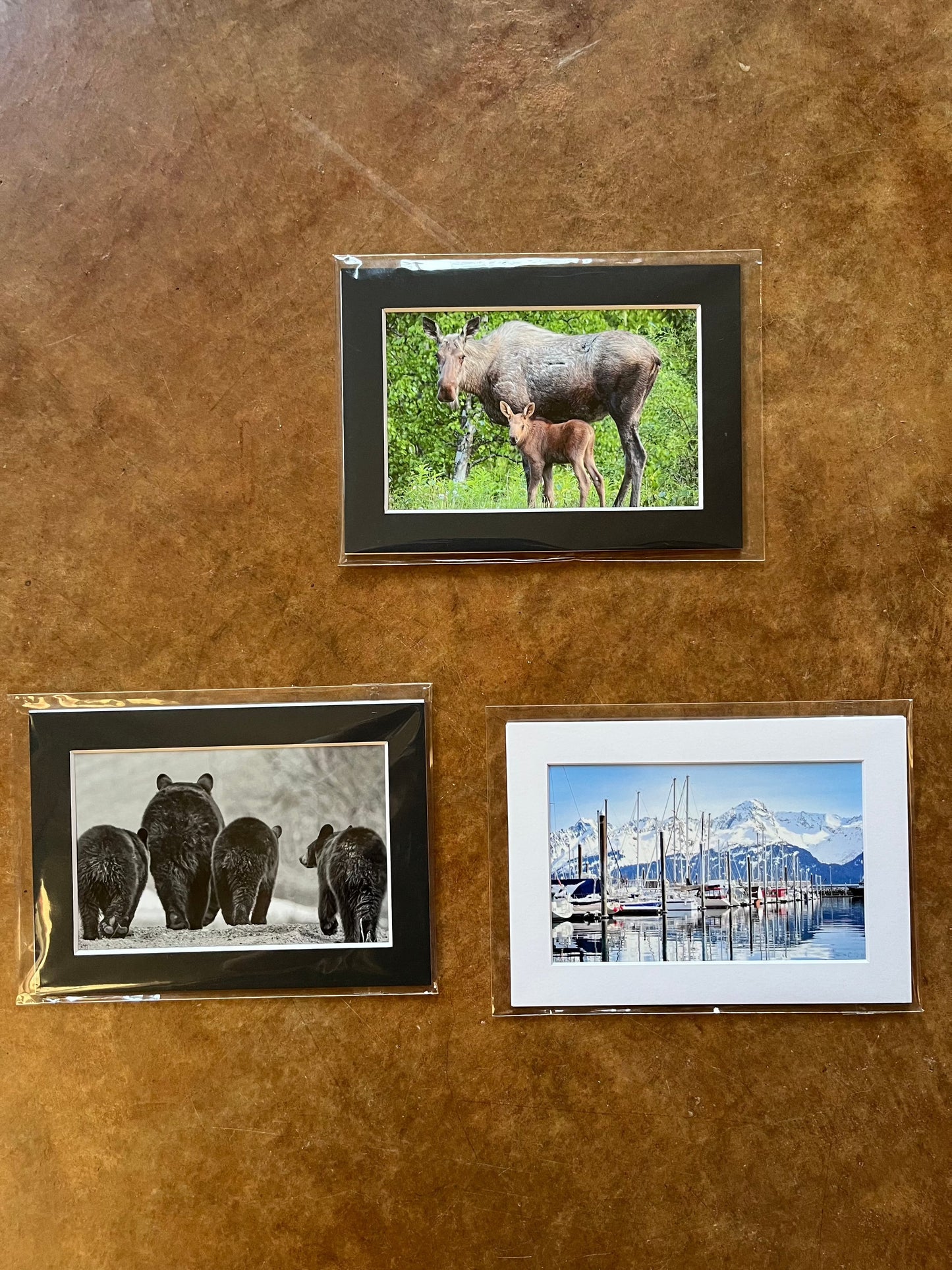 Momma Moose