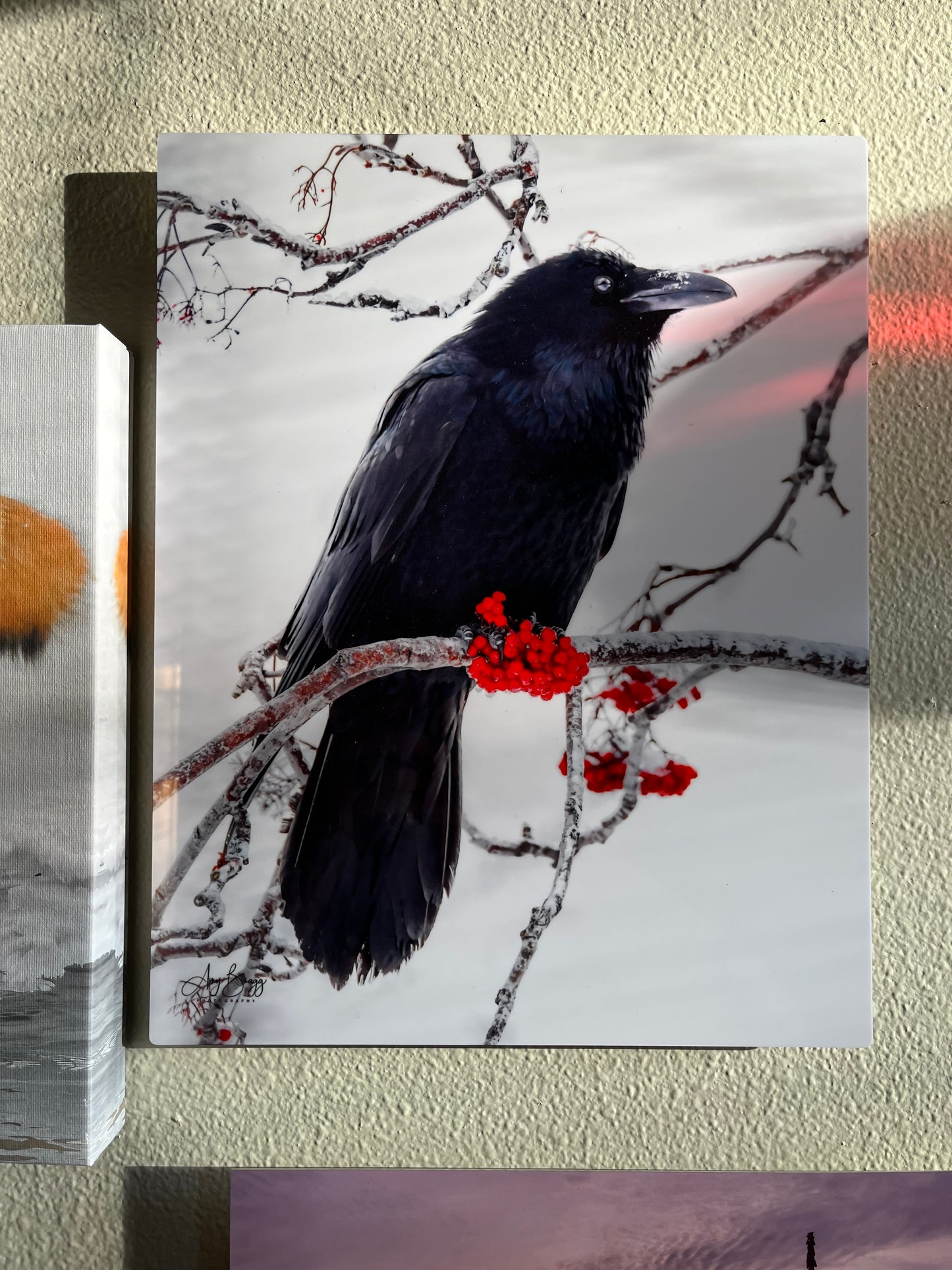 Raven W/Berry