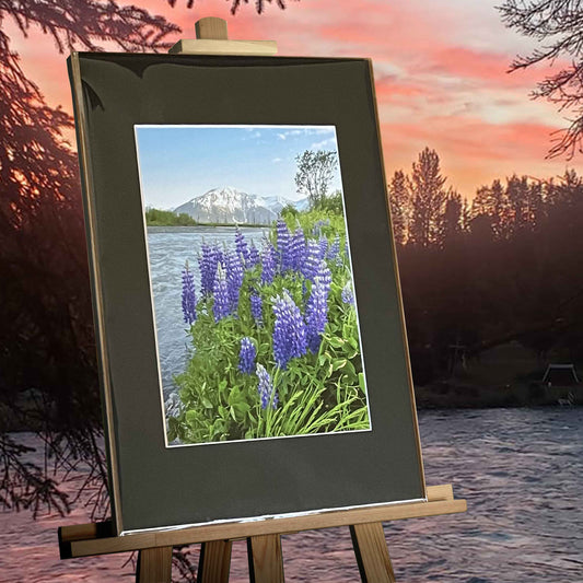 Lupine Along the River