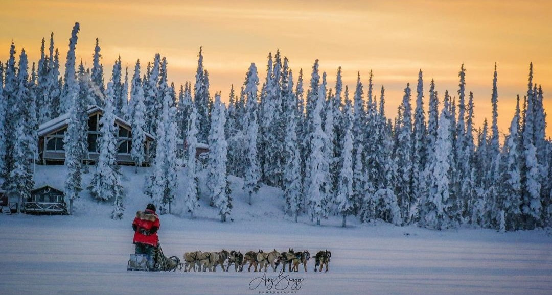 Musher